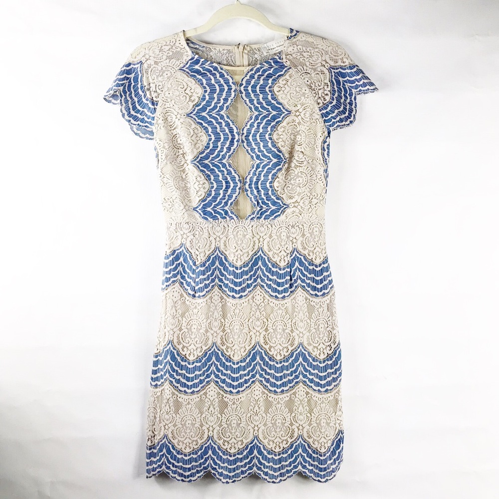 Dress Forum Lace Dress